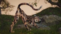 1boy 3d_(artwork) balls blender_(software) cheetah digital_media_(artwork) felid feline feral fur genitals grass hi_res king_cheetah male male_only mammal nature plant presenting ruark solo stretching sunset