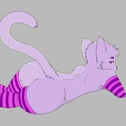 1:1 absurd_res anal andromorph anthro arm_warmers armwear ass clothing cuntboy domestic_cat felid feline felis footwear hi_res hiro_(hirokitty) hirokitty intersex legwear male mammal presenting presenting_hindquarters socks solo stockings