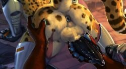 5_fingers anthro anus ass backsack balls cheetah claws countershade_butt countershade_fur countershading duo felid feline fingers fur genitals hi_res kinsheph male mammal pawpads penis tail