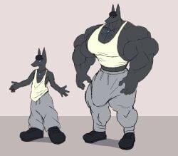 absurd_res anthro baggy_clothing before_and_after big_bulge big_muscles big_penis black_body black_clothing black_footwear black_fur black_hair black_shoes blue_eyes body_size_growth bottomwear bulge canid canine clothing footwear fur genitals grey_bottomwear grey_clothing grey_pants growth hair hi_res huge_cock huge_muscles huge_pecs hyper hyper_muscles jewelry male mammal midriff muscle_growth muscular muscular_arms muscular_legs muscular_male muscular_thighs necklace pants parttimeyeen_(artist) penis shirt size_transformation solo tight_clothing topwear transformation white_clothing white_shirt white_topwear