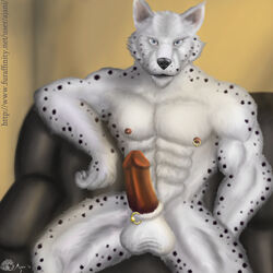 2012 ajani anthro balls canine erection furry genital_piercing male male_only muscles no_humans penis piercing solo