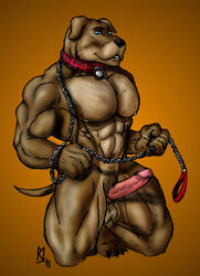 abs balls biceps bodybuilder bulldog collar leash male male_only muscles pecs penis serratus_anterior solo sudonym