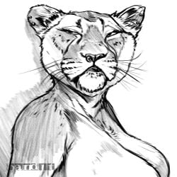 1:1 annoyed_expression anthro band1tnsfw black_and_white digital_art digital_drawing_(artwork) digital_media_(artwork) ear_piercing female female_focus furry furry_only lion lioness long_eyelashes looking_to_side nose_ring pencil portrait simple_background squinted_eyes whiskers