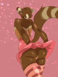 anthro ass bottomwear clothed clothing clothing_lift domestic_ferret footwear girly hi_res legwear male mammal mustelid musteline paperclipper presenting presenting_hindquarters raised_bottomwear raised_clothing raised_skirt raised_tail rear_view skirt skirt_lift socks solo tail thigh_highs true_musteline weasel werther