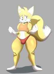 feminine tails from sega by susknuckles