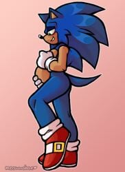 anthro cuntboy furry green_eyes intersex male male_pregnancy meowwabae mpreg pregnant pregnant_belly pregnant_cuntboy pregnant_male sideview sonic_the_hedgehog source_request