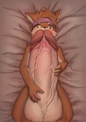 2022 accessory anthro balls bedding bedding_background big_balls big_penis blush bodily_fluids brown_nose canid canine cheek_tuft erection facial_tuft foreskin frenulum front_view genital_fluids genitals headband hi_res high-angle_view holding_penis huge_balls huge_cock humanoid_genitalia humanoid_penis hyper hyper_balls hyper_genitalia hyper_penis lying male mammal on_back penis portrait precum retracted_foreskin solo tears three-quarter_portrait throbbing_penis timothy_furry tuft vein veiny_penis wide_eyed yellow_eyes