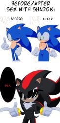 shadow the hedgehog from sonic (series)