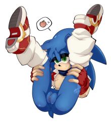 sonic the hedgehog from sonic (series) by scarletstar 23