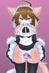 absurd_res akumu_(nightmareroa) angry anthro balls blue_eyes blush brown_hair canid canine chastity_cage chastity_device clothed clothing domestic_cat felid feline felis femboy fox fur genitals girly hair hi_res legwear maid_uniform male mammal multicolored_body multicolored_fur nightmareroa partially_clothed penis presenting presenting_penis solo uniform white_body white_fur