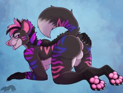 anthro anus ass ass_up balls breasts genitals herm hi_res hyena intersex mammal pawpads paws pinup pose pussy solo spread_butt spreading striped_body stripes thatblackfox_(artist)