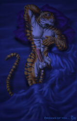 1boy anthro balls bed feline fur furry male male_only penis sleeping solo sudonym tiger