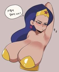 1girl 1girls amazon armpits big_breasts blush cleavage dark_skin dc dc_comics dc_super_hero_girls diana_prince female female_only korean_text large_breasts no_bra star_earrings wonder_woman