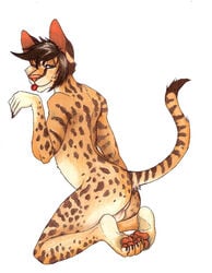 1boy anthro ass balls feline from_behind fur furry kneeling looking_at_viewer male male_only maza_rau nude raised_tail redrevolution savannah_cat serval solo tail tongue