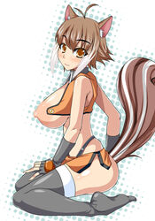 animal_ear big_nipples blazblue blush breasts highres huge_breasts kirise_mitsuru makoto_nanaya nipple nipples rodent_humanoid smile squirrel_ears squirrel_tail tail