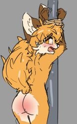 anthro ass bound canid canine embarrassed femboy fox fur humanoid humiliation male male/male mammal night nude orange_body orange_fur pole psy23 rope solo tail to