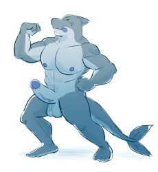 2024 absurd_res animalboyfriend anthro balls big_muscles big_penis fish flexing flexing_bicep genitals gills hi_res looking_at_viewer male marine muscular muscular_anthro muscular_male penis pose shark solo tongue tongue_out