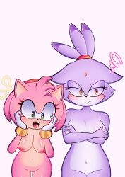 amy rose from sonic (series) by jelx