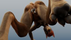 absurd_res anthro ass canid canine canis carthage_(carthagetech) carthagetech dobermann dobermann_(untied_verbeger) domestic_dog duo female genitals hi_res hindpaw legs_sticking_out low-angle_view machine male male/female mammal micro paws pinscher predator/prey presenting presenting_hindquarters presenting_pussy protogen pussy racf92 smile smirk smug spread_pussy spreading unbirthing untied_verbeger upside-down vaginal_penetration vore