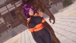 shihouin yoruichi from bleach by numbersguy