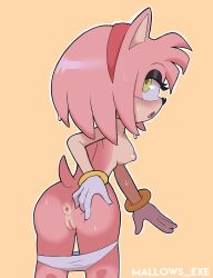 amy rose from sega by mallows.exe