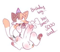 ass balls bell bell_collar big_balls big_penis birthday_hat calico_cat collar collar_only domestic_cat felid feline felis feral foreskin genitals hi_res jaspixie male mammal nude orange_eyes paws penis solo