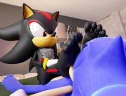 3d_(artwork) 5_toes anthro barefoot digital_media_(artwork) duo feet foot_fetish foot_focus foot_on_face foot_play hi_res humanoid_feet joxyfoxy male male/male plantigrade sega shadow_the_hedgehog soles sonic_(series) sonic_the_hedgehog sonic_the_hedgehog_(series) toes