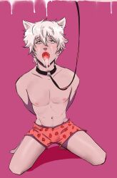 animal_ears arms_behind_back blush boxers cat_ears catboy collar full_body gintama gintoki_sakata high-angle_view k!nk kemonomimi leash looking_up male male_only open_mouth pink_background solo strawberry_print suggestive_fluid topless topless_male underwear