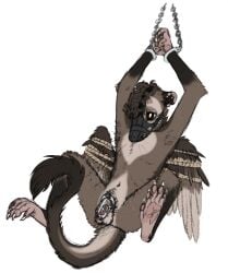 alpha_channel anthro brown_body brown_eyes brown_fur cackling-beast chastity_cage chastity_device claws cuff_(restraint) curled_hair dasyuromorph didelphid feathered_wings feathers fur fur_tuft hair handcuffs hi_res humanoid_genitalia hybrid long_tail male mammal marsupial metal_cuffs muzzle_(object) muzzled navel pink_feet pink_hands raised_arms restraints round_ears scar simple_background skinny_male solo stripes tail tail_tuft tan_body tan_fur thylacine traditional_media_(artwork) transparent_background tuft whiskers wing_bondage wings