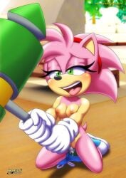 amy_rose animal anthro bbmbbf crotch_rub furry furry_only hammer hedgehog masturbation medium_breasts mobius_unleashed palcomix rosy_the_rascal_(archie) rubbing_pussy sega sonic_(series) sonic_the_hedgehog_(archie) sonic_the_hedgehog_(series)