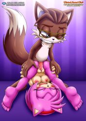 amy rose from sonic (series) by bbmbbf