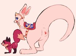 anatomically_correct anatomically_correct_genitalia anatomically_correct_pussy animal_genitalia animal_pussy anus ass canid canine canine_genitalia canine_pussy dc_comics duo female feral fox fur genitals kangaroo labbit1337 macropod mammal marsupial orange_body orange_fur pink_body pink_skin presenting presenting_anus presenting_hindquarters presenting_pussy pussy red_body red_fur