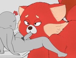 anthro anthrofied bedroom_eyes big_penis bigger_female blowjob cheek_tuft disney dummycervine ear_tuft fellatio fellatio_from_anthro fur furry giantess human humanoid_penis larger_female male_human/female_anthro mei_lee red_fur red_panda turning_red