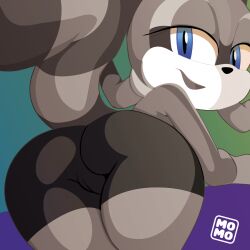 marine the raccoon from sonic (series) by abstrakt