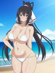 beach bikini black_hair blue_eyes blue_sky breasts cleavage cloud cowboy_shot day female hair_ribbon hata_(pixiv10403940) highres horizon infinite_stratos large_breasts long_hair looking_at_viewer ocean outdoors ponytail ribbon sarong shinonono_houki sky solo split_ponytail swimsuit white_bikini white_ribbon white_sarong