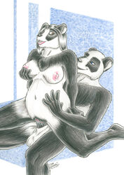 balls belly black_lips blue_eyes breast_grab breasts brown_eyes female fondling furry grope grymmbadger male navel nipples panda penetration penis pussy reverse_cowgirl_position smile straight vaginal_penetration wet wide_hips