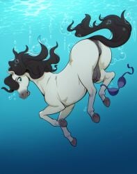 animal_genitalia bra horse jotun22 mare mare_pussy pussy udders underwater