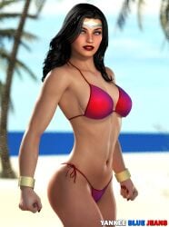 wonder woman from dc by yankeebluejeans