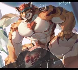 abs ambiguous_gender big_muscles chest_hair climax cum cum_in_ass cum_inside ejaculation hard_cock headband luodejun male muscular muscular_male nipples open_mouth orange_body pecs penis_out penis_tip pubes pubic_hair shirtless smile smiling smirk spread_legs squatting tiger unprotected_ejaculation unprotected_sex veins veiny veiny_muscles veiny_penis white_body winking