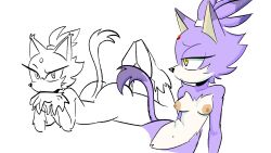 blaze the cat from sonic (series) by yorange47
