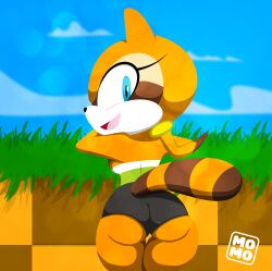 abstrakt female marine_the_raccoon sonic_(series) spandex_shorts thick_ass voluptuous_female