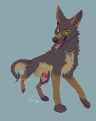 anatomically_correct anatomically_correct_genitalia anatomically_correct_penis animal_genitalia animal_penis bodily_fluids brown_body brown_fur canid canine canine_genitalia canine_penis canis chain_collar collar domestic_dog drooling eyebrows feral fur genital_fluids genitals german_shepherd herding_dog hi_res lornsky male mammal pastoral_dog penis penis_tip precum raised_eyebrow saliva seductive sheath solo tongue tongue_out walking