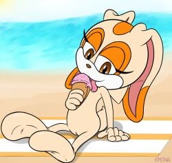 anthro beach_towel cpctail cream_the_rabbit female fur genitals hi_res humanoid_genitalia lagomorph leporid looking_at_viewer mammal paws pussy rabbit sega smile solo sonic_(series) sonic_the_hedgehog_(series) towel young