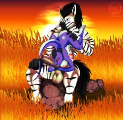 2018 3_toes 69_position animal_genitalia animal_penis anthro areola ass balls big_penis black_hair black_hands blue_body blue_scales blue_skin bluesy_(bluesy) breasts brown_penis digital_media_(artwork) duo equid equine equine_genitalia erection feet genitals glans grass grey_eyes gynomorph gynomorph/male hair hand_on_butt hand_on_leg hand_on_penis herm_(lore) hi_res intersex intersex/male june_(justathereptile) justathereptile komodo_dragon licking lizard male mammal monitor_lizard nipples non-mammal_breasts nude oral orange_grass orange_sky outdoor_nudity outside outside_sex penile penis penis_lick penis_worship pink_areola pink_glans pink_nipples pink_tongue plant red_eyes reptile rock savanna scales scalie scutes sex sitting sitting_on_stone size_difference stripes sun sunset tail toes tongue tongue_out upside-down watermark white_body zebra