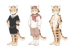 absurd_res clothed clothing domestic_cat felid feline felis fluffy footwear fur hi_res makioraku male male/male mammal multicolored_body multicolored_fur nude paws socks solo young