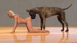 3d 3d_(artwork) animal_genitalia animal_penis athletic big_breasts blonde_hair breasts brown_body brown_fur canid canine canine_genitalia canine_penis canis digital_media_(artwork) domestic_dog duo erection female feral firm firm-ass floor fur genitals great_dane hair hanging_breasts hannah_palmer hi_res human inside jollybizz looking_at_viewer male male/female mammal mastiff mating_ritual molosser penis small_waist tanned_skin wood_floor zoophilia