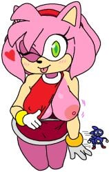 1boy 1girls amy_rose anthro big_breasts blush breasts clothing dream-cassette dress erect_nipples erect_nipples_under_clothes female female_focus hedgehog hoshime large_breasts looking_at_viewer mobian_(species) nipples one_breast_out sanic_hegehog sega sonic_(series) sonic_team sonic_the_hedgehog sonic_the_hedgehog_(series) thick_thighs transparent_background wide_hips