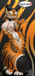 anthro big_breasts breasts dennis_pawers dialogue feline female fur furry heart nude pussy solo tail tiger