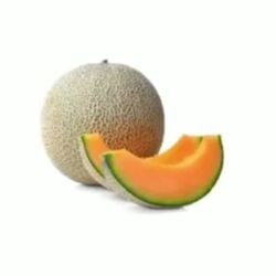 cantaloupe tagme white_background