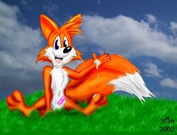 Sonic (Series) Rule 34 Image